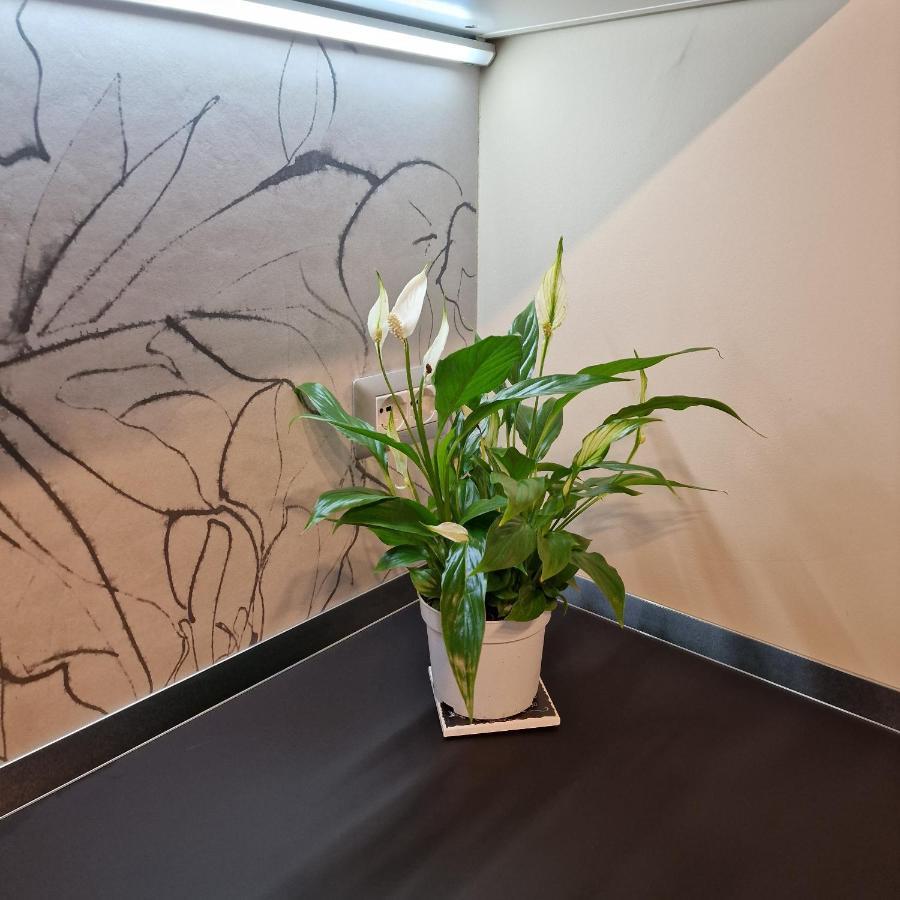 Apartmán Corso Vittorio 364 Cagliari Exteriér fotografie